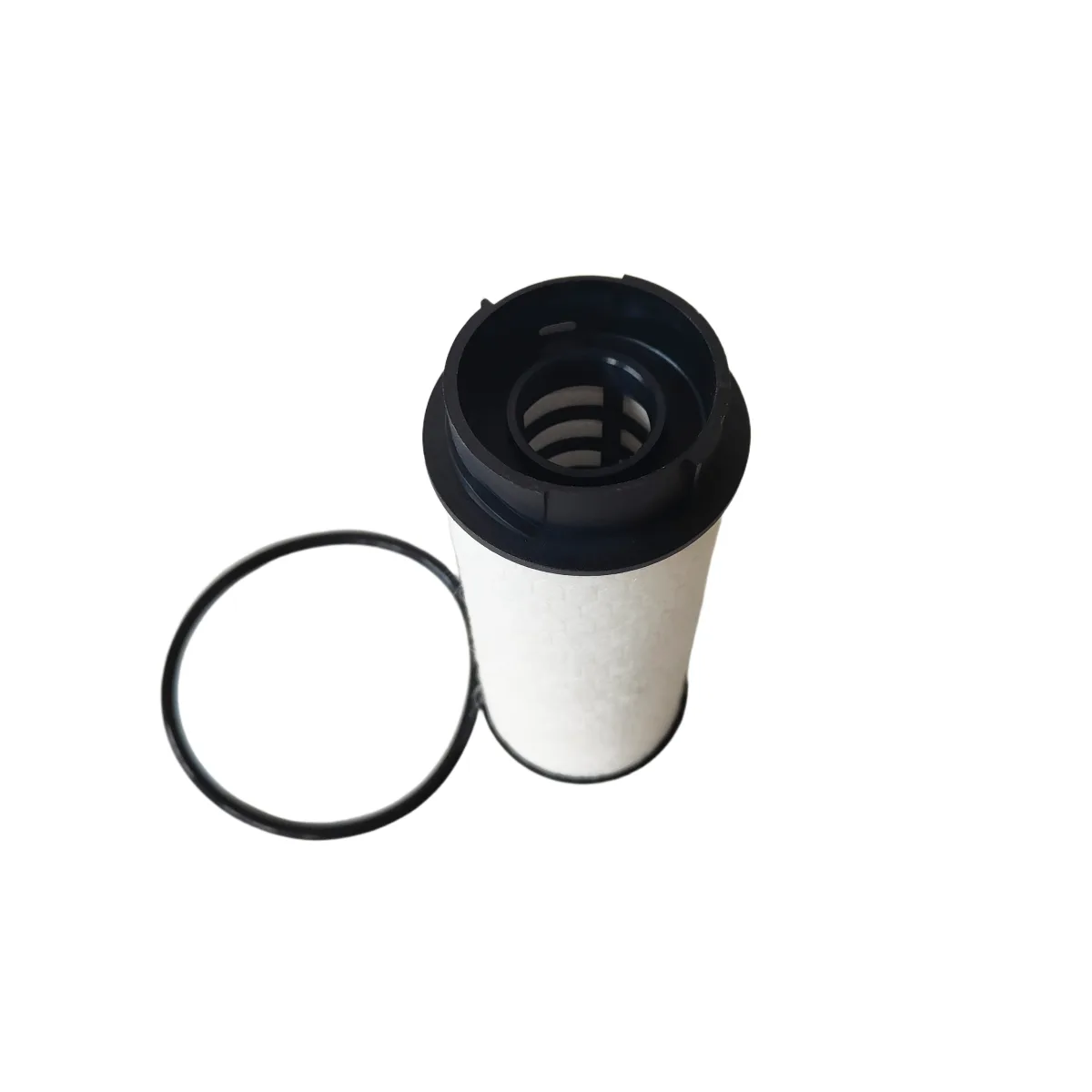 MK667920 product photo